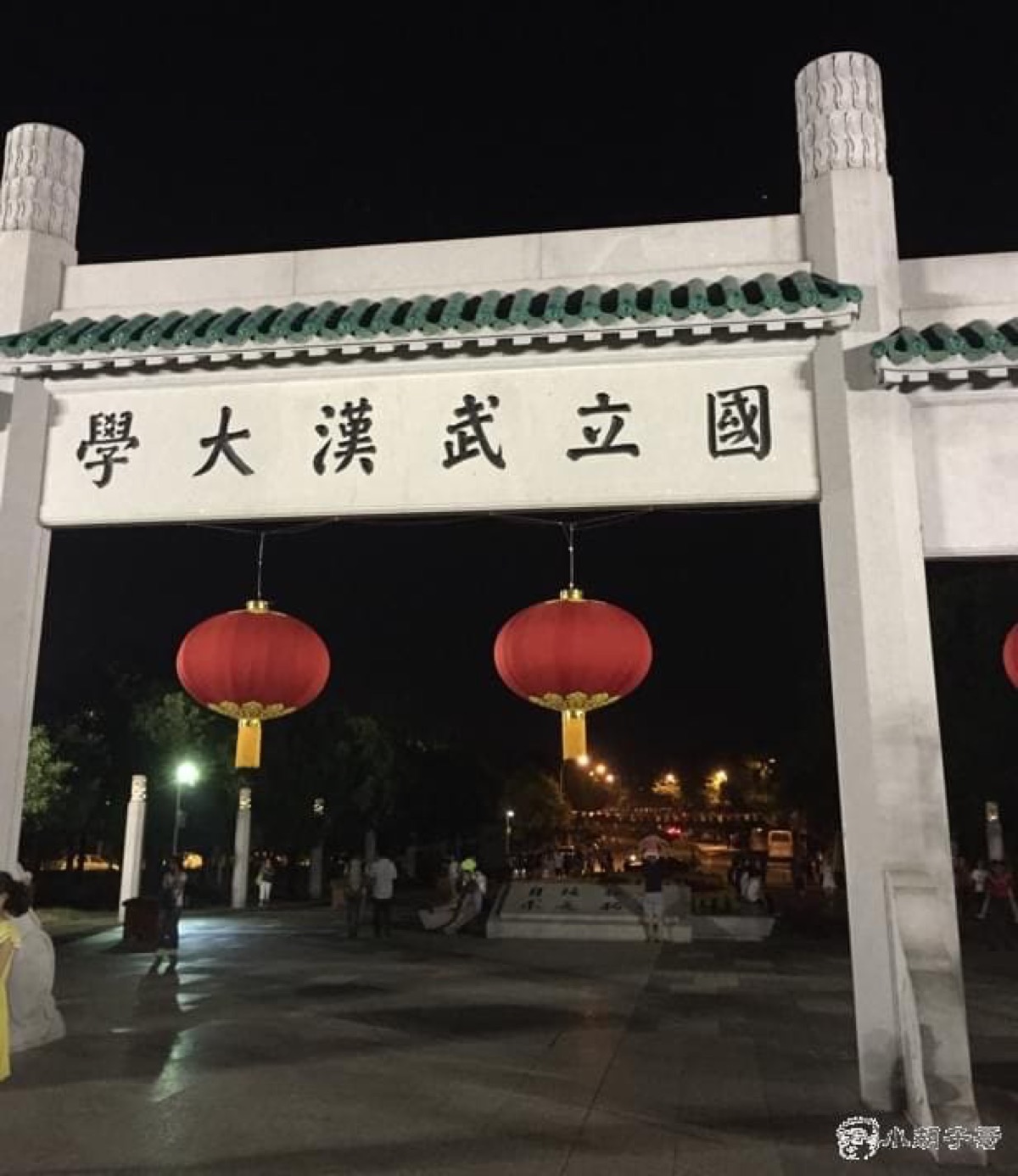 武大正门夜景