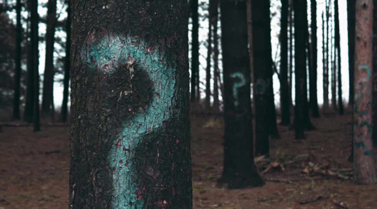 //unsplash.com/photos/i--IN3cvEjg by Evan Dennis
